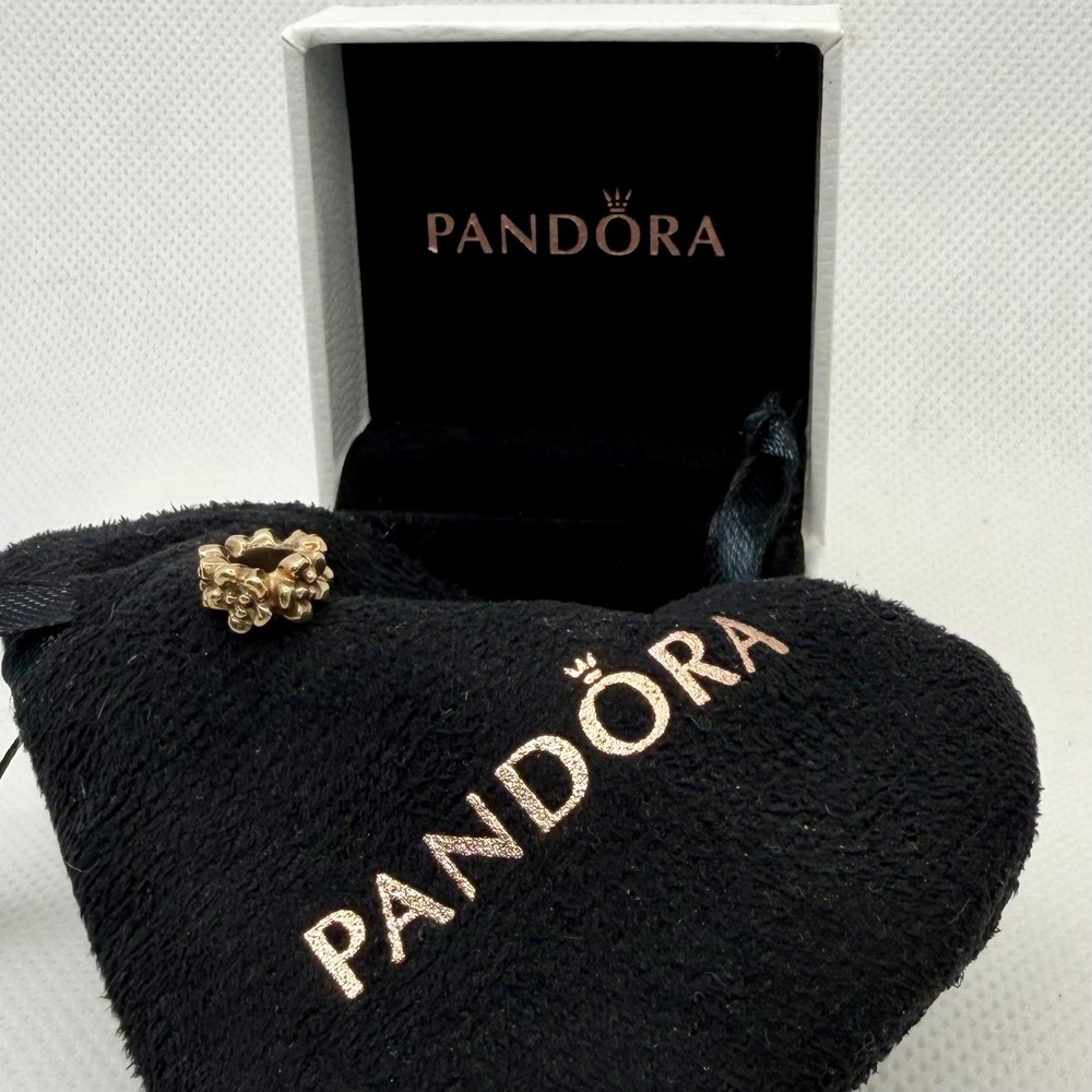 Pandora 14k Aloha Charm- with box and jewelry‎ bag